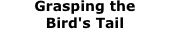 Grasping the