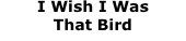 Pandemic Poem